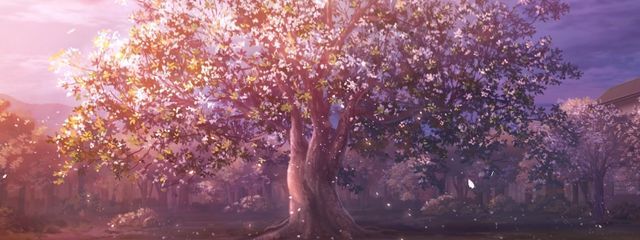 命ﾁｬﾝ    あるむん　さんの壁紙画像