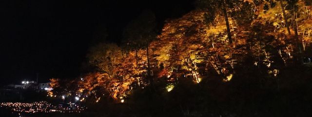 空桜音さんの壁紙画像