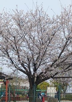 拝啓 泡沫の王子へ