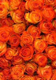 8人の人間と一人の人外