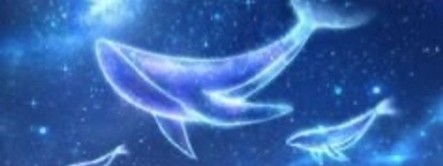 おもちさんの壁紙画像