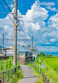 偽聖女は帝国の信用を、聖女は森でひっそりと　≪　MECHATU-A×VOLTACTION　≫