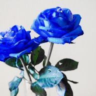 BLUE ROSEさんのアイコン画像