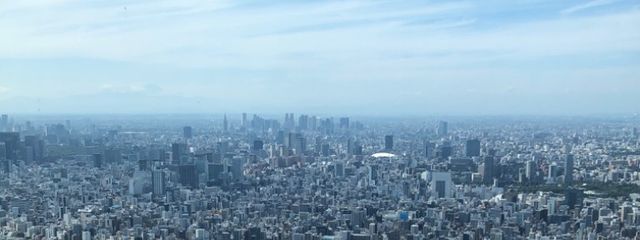 凪舒華🦄🌱🐢💗さんの壁紙画像