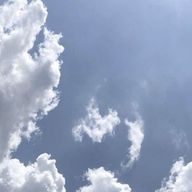 More さんのアイコン画像