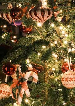 クリスマス~✧︎*。