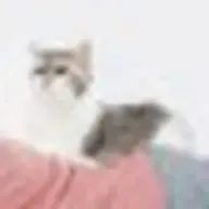 AB型の左利きさんのアイコン画像