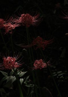 ｢mmmr｣無能な神へ言ノ葉を