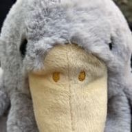 ねこまんまさんのアイコン画像