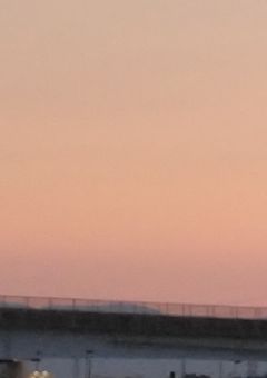 先輩 、俺じゃダメですか ？