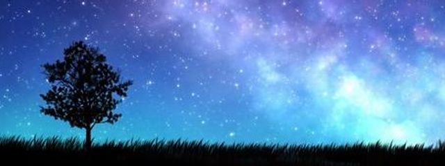 ＊ 星 ＊   #The低浮上中さんの壁紙画像