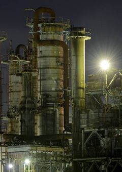  白 百 合 と 薔 薇 