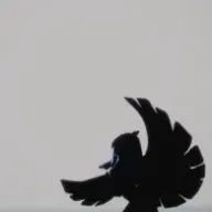 𝕪𝕦𝕦🤍さんのアイコン画像