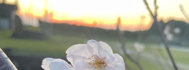 Rvio @舞とペア画中！さんの壁紙画像