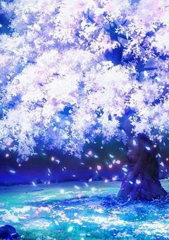 高校生社長の日常