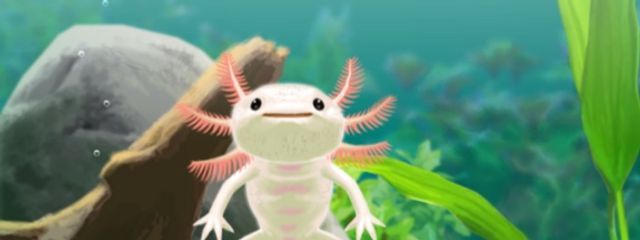 みるるんさんの壁紙画像