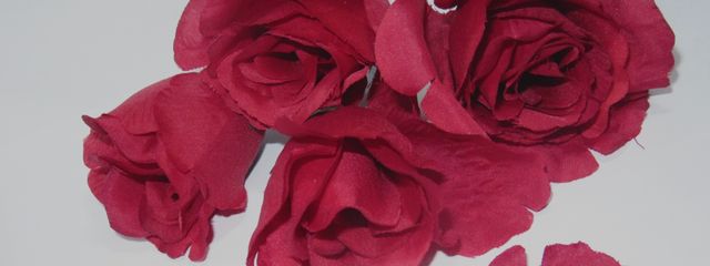 少女さんの壁紙画像