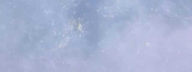 葵さんの壁紙画像