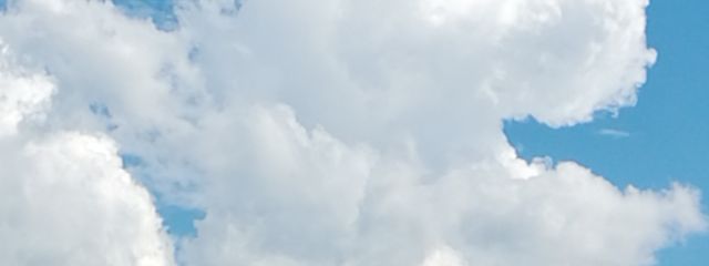 Momoさんの壁紙画像