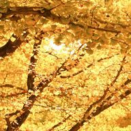 omさんのアイコン画像