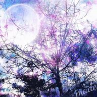 千桜さんのアイコン画像