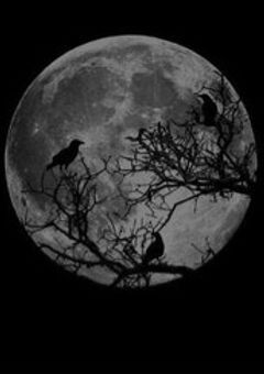 【HP】．呪 生  ．