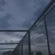 kame🏁🐢💨💨さんのアイコン画像