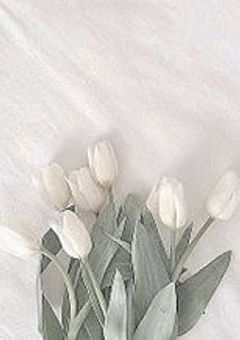 呪力？なにそれ美味しいの？