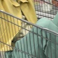 ウリ🐰🍀さんのアイコン画像