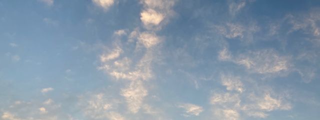 まい🍀🕊さんの壁紙画像