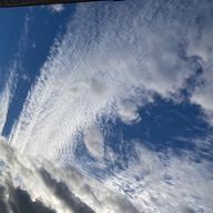 まい🍀🕊さんのアイコン画像