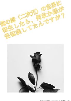 俺の嫁(二次元)の世界に転生したら、何故か嫁が性転換してたんですが？