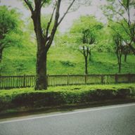 サボテンさんのアイコン画像