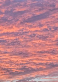 𝙬𝙧𝙬𝙧𝙙  ×  BL