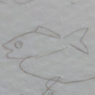 colorさんのアイコン画像