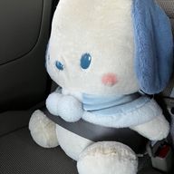 もちさんのアイコン画像