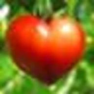 smileCRATさんのアイコン画像