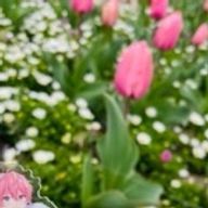 むすむすさんのアイコン画像