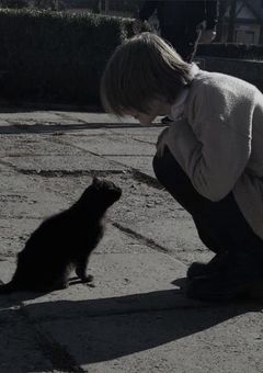 静かな猫のさ迷い