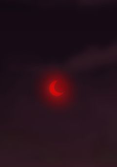 星羅ちゃん専用部屋