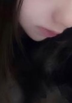  　　　マウントチワワのお世話係　.