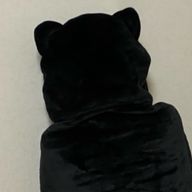 綾音さんのアイコン画像