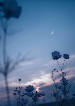 t g a k | 長 き 物 語 の 断 片 .