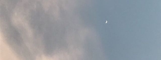 ᴛɪᴀʀᴀさんの壁紙画像