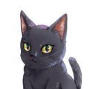 黒猫