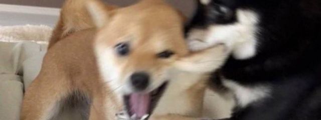 もやしみそ汁さんの壁紙画像