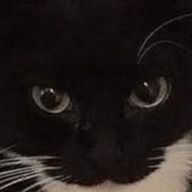 もやしみそ汁さんのアイコン画像