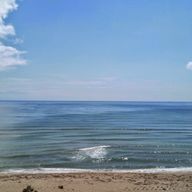 神無※305さんのアイコン画像