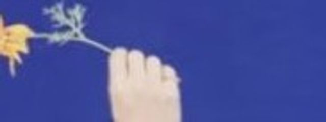 碧さんの壁紙画像