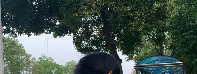 くる　　フォロバ100パーセントさんの壁紙画像